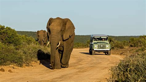 ou aller en afrique du sud